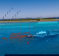 Ocean Free Green Island  Great Barrier Reef Snorkel Cruise Cairns 25 guests - Winery Find