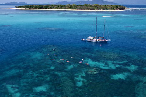 Ocean Free Green Island & Great Barrier Reef Snorkel Cruise, Cairns 25 Guests - Winery Find 2
