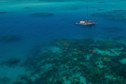 Ocean Free Green Island & Great Barrier Reef Snorkel Cruise, Cairns 25 Guests - Winery Find 5