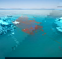 Ocean Freedom Great Barrier Reef Personal Luxury Snorkel  Dive Cruise Cairns - Winery Find