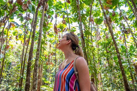 5 Day Australia Retreat: Queensland Daintree - Winery Find 0