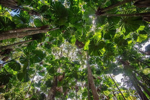 5 Day Australia Retreat: Queensland Daintree - Winery Find 2