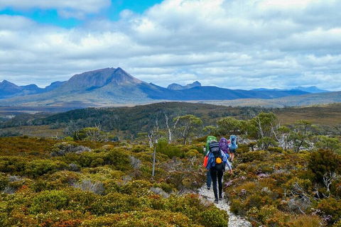 6 Day Trek The Cradle Mountain Overland Track - Winery Find 5