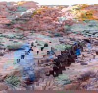 6 Day Red Centre Explorer with Accommodation - Winery Find