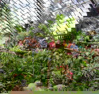 Australian Butterfly Sanctuary - Winery Find