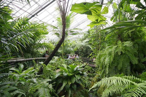 Australian Butterfly Sanctuary - Winery Find 3