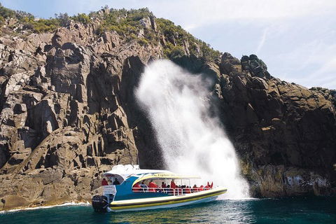 Full-Day Bruny Island Cruises Day Tour From Hobart - Winery Find 4
