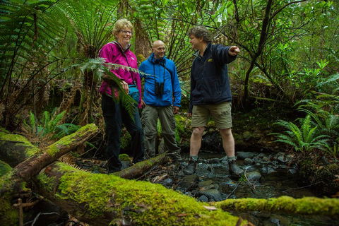 Bruny Island Traveller - Gourmet Tasting And Sightseeing Day Trip From Hobart - Winery Find 1