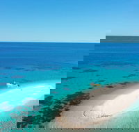 Ocean Safari Great Barrier Reef Experience in Cape Tribulation - Winery Find