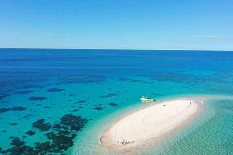 Ocean Safari Great Barrier Reef Experience In Cape Tribulation - Winery Find 0