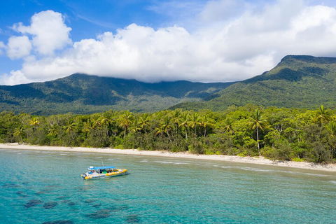 Ocean Safari Great Barrier Reef Experience In Cape Tribulation - Winery Find 2