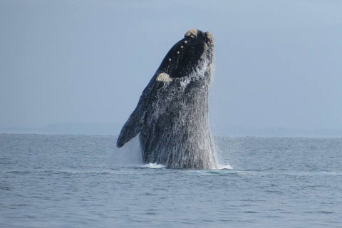 Kangaroo Island 75-Minute Ocean Safari - Winery Find 2
