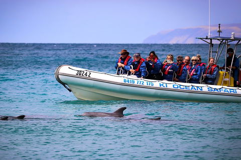 Kangaroo Island 75-Minute Ocean Safari - Winery Find 4