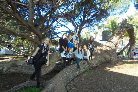 1/2 Day Swan Valley Wine Cheese & Chocolate Tour Inc Afternoon Cruise To Perth - Winery Find 0