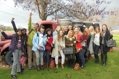 1/2 Day Swan Valley Wine Cheese & Chocolate Tour Inc Afternoon Cruise To Perth - Winery Find 5