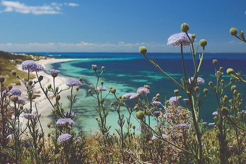 Rottnest Island Full-Day Trip With Guided Island Tour From Perth - Winery Find 2