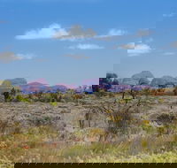 Overnight Uluru Ayers Rock Small-Group Camping Tour - Winery Find
