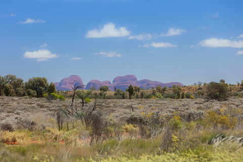 Overnight Uluru (Ayers Rock) Small-Group Camping Tour - Winery Find 0