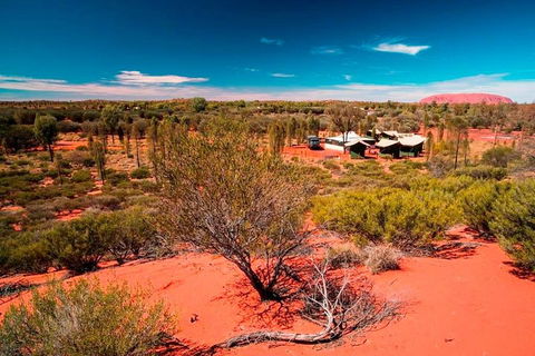 Overnight Uluru (Ayers Rock) Small-Group Camping Tour - Winery Find 2