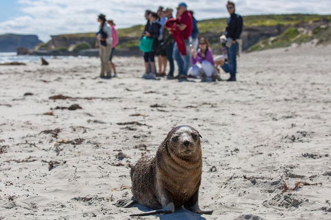 Kangaroo Island In A Day Tour From Adelaide - Winery Find 0