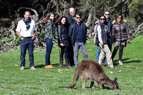 2-Day Kangaroo Island 4WD Small-Group Tour From Adelaide - Winery Find 1