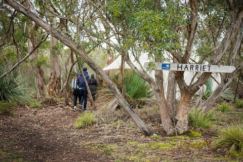 2-Day Kangaroo Island 4WD Small-Group Tour From Adelaide - Winery Find 5