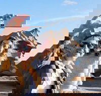 Full-Day Kangaroo Island Experience Departing from Kangaroo Island - Winery Find