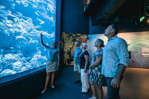 Cairns Aquarium By Twilight With 3-Course Dinner - Winery Find 1