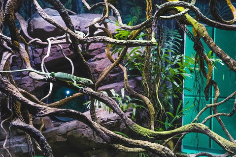 Cairns Aquarium By Twilight With 3-Course Dinner - Winery Find 2