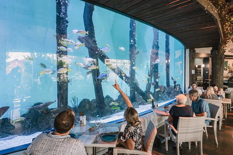 Cairns Aquarium By Twilight With 3-Course Dinner - Winery Find 4