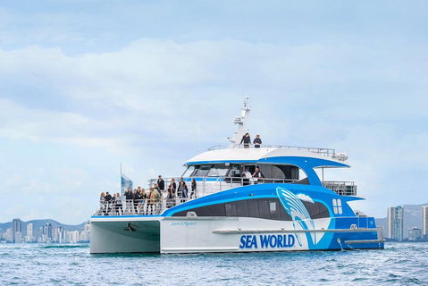 Whale Watching By Sea World Cruises - Winery Find 3