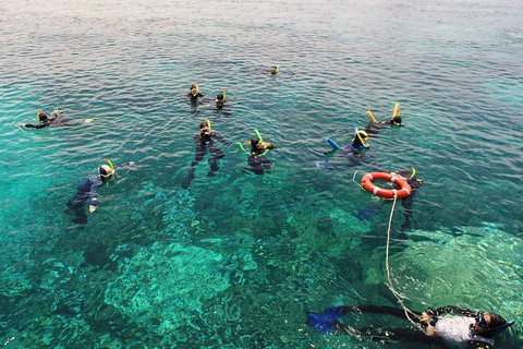 Seastar Luxury Outer Great Barrier Reef Island And Reef Tour From Cairns - Winery Find 2