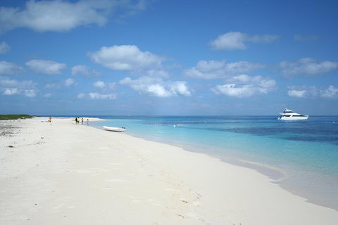 Seastar Luxury Outer Great Barrier Reef Island And Reef Tour From Cairns - Winery Find 3