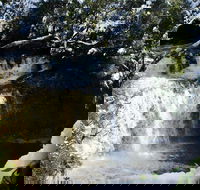 Cradle Mountain Day Tour from Launceston Including Lunch - Winery Find