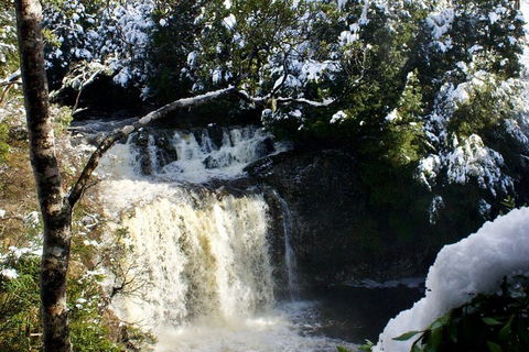 Cradle Mountain Park Explorer Guided Tour - Winery Find 4