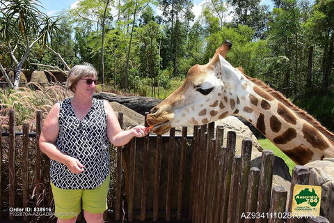 Small-Group Australia Zoo Day Trip From Brisbane - Winery Find 2