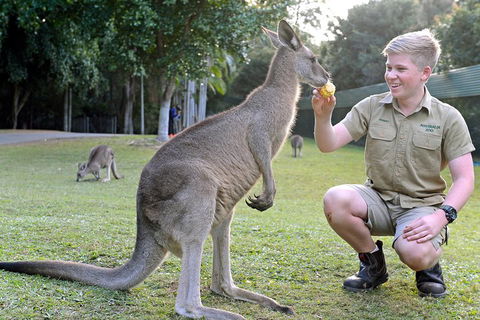 Small-Group Australia Zoo Day Trip From Brisbane - Winery Find 4