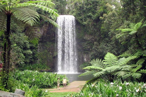 Private Daintree And Cape Tribulation Tour From Port Douglas - Winery Find 0