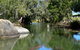 Private Daintree And Cape Tribulation Tour From Port Douglas - thumb 3