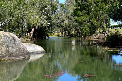 Private Daintree And Cape Tribulation Tour From Port Douglas - Winery Find 3
