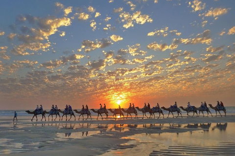 Broome City Sightseeing Tour With Optional Camel Ride - Winery Find 1