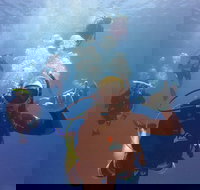 12-Day Great Barrier Reef Marine Conservation Program from Cairns - Winery Find