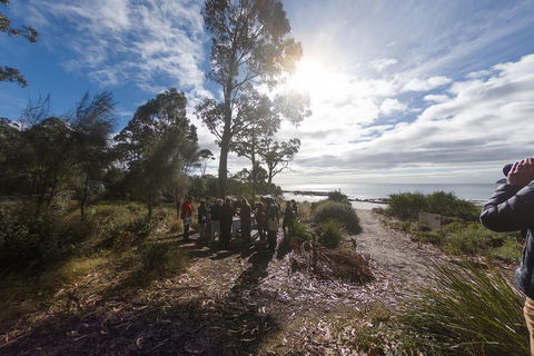 Bruny Island Day Tour, Includes Lunch And Exclusive Lighthouse Tour - Winery Find 5