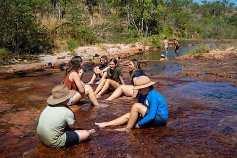 Litchfield National Park Waterfalls And Wildlife Tour From Darwin - Winery Find 1