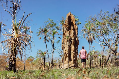 Litchfield National Park Waterfalls And Wildlife Tour From Darwin - Winery Find 4