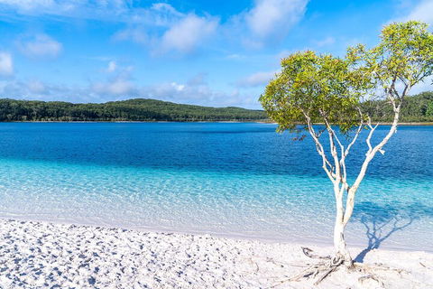 Lake McKenzie Full-Day Tour With Lunch From Hervey Bay - Winery Find 1