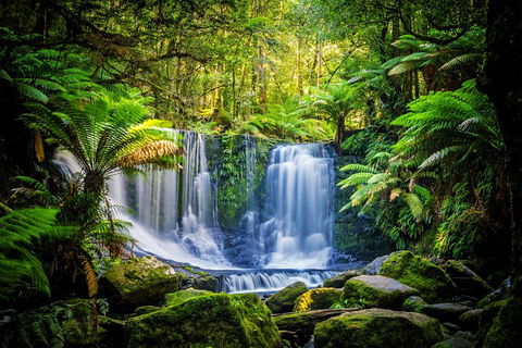 Day Tour In Mt. Field, Mt. Wellington, Bonorong Wildlife Sanctuary And Richmond - Winery Find 0