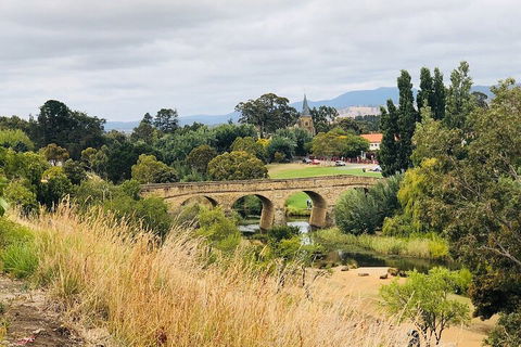 Day Tour In Mt. Field, Mt. Wellington, Bonorong Wildlife Sanctuary And Richmond - Winery Find 3