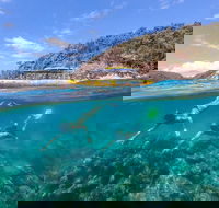 Great Barrier Reef Scenic Flight and Ocean Rafting Whitehaven Beach Day Trip - Winery Find