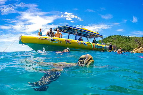 Great Barrier Reef Scenic Flight And Ocean Rafting Whitehaven Beach Day Trip - Winery Find 1